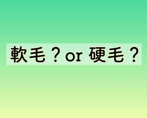 FDC6465C-FB2C-4159-B413-3015CB7D41DB